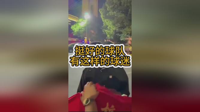 比利时与德国的较量引发球迷热议，胜负难料的简单介绍
