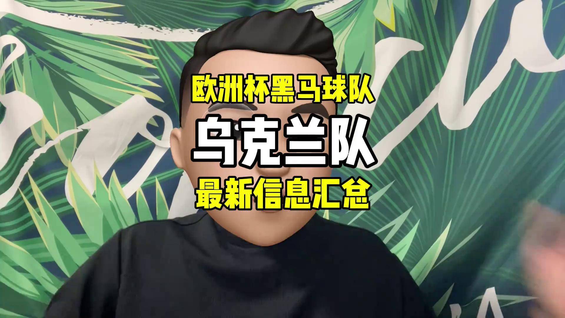 欧洲足坛热议：谁将成为本届欧洲杯的黑马球队的简单介绍